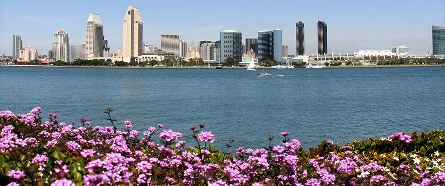San Diego Downtown Skyline in Spring